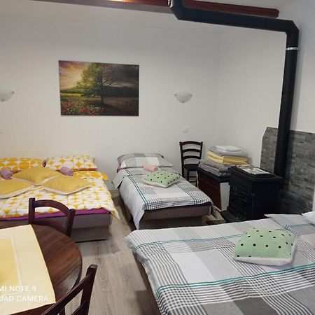 Studio Apartman Sonja Otočac Buitenkant foto