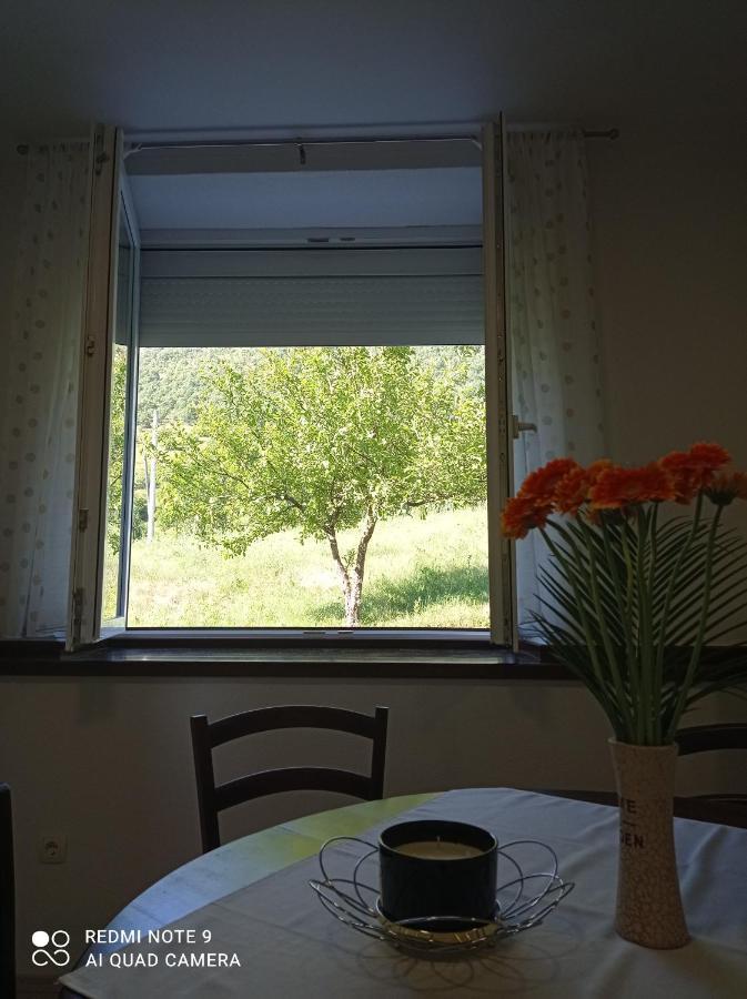 Studio Apartman Sonja Otočac Buitenkant foto